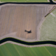 Image for article titled Photos: Fields of flowers look like modern art from above